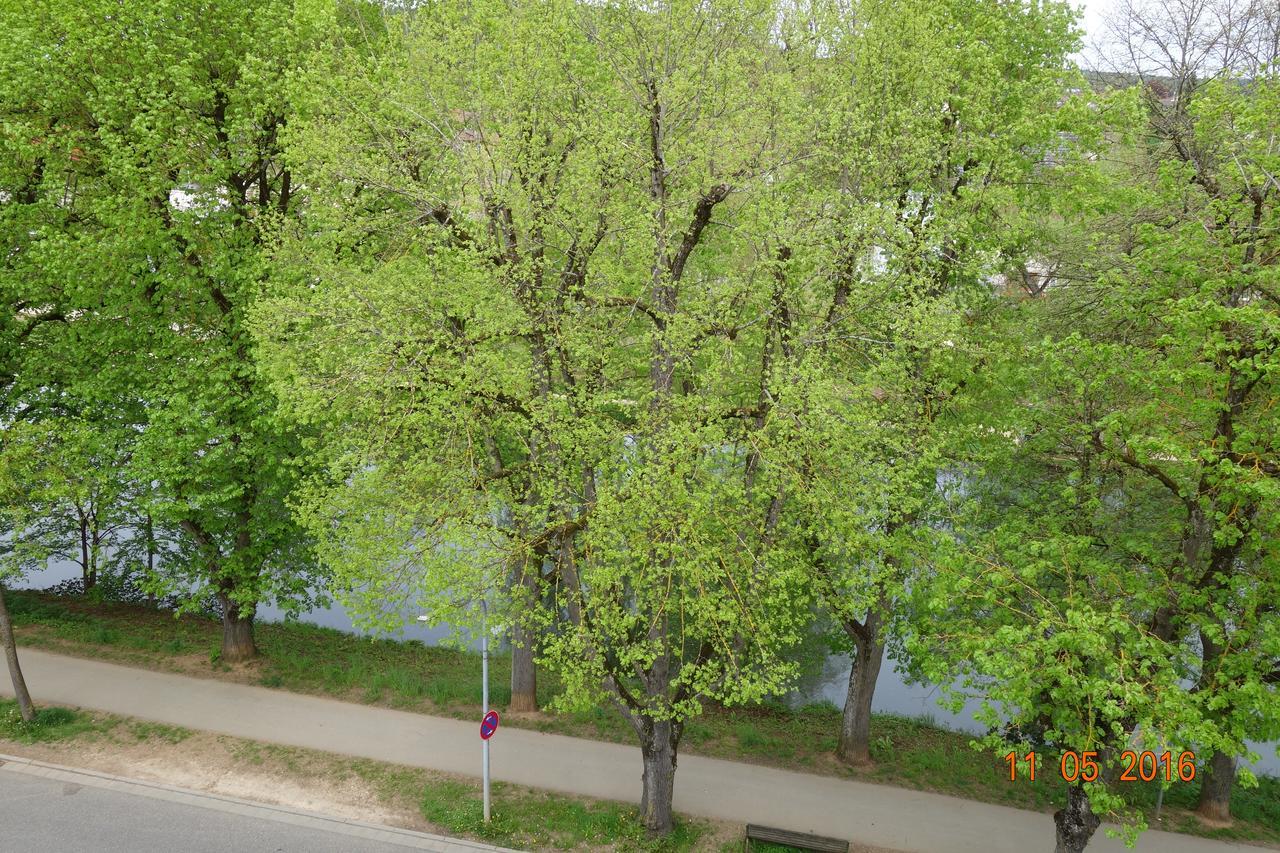 Hotel Stadt Tuttlingen Exteriör bild